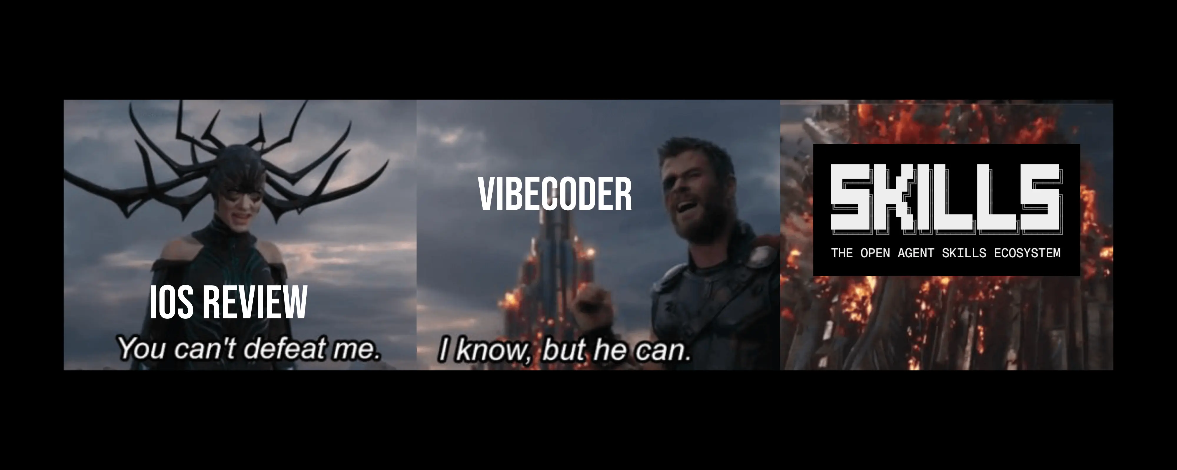 iOS Review, vibecoder, and Skills
